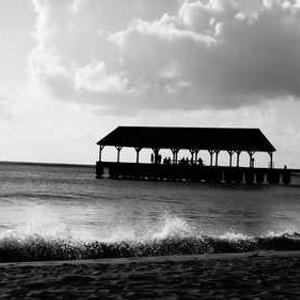 sunlit 1688 สแกตเตอร์ ทริกเกอร์ง่าย